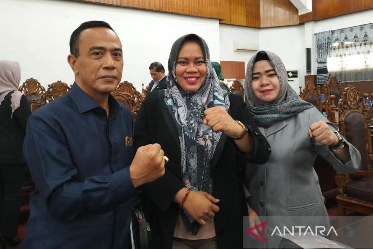 Legislator Kapuas minta jalan Gang BPP diperhatikan pemda