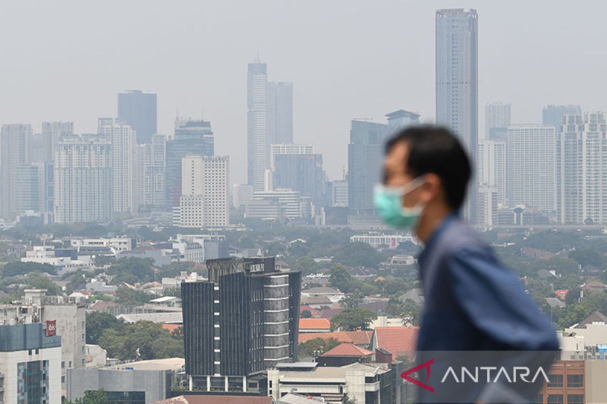 Tujuh cara lindungi paru-paru saat udara tercemar