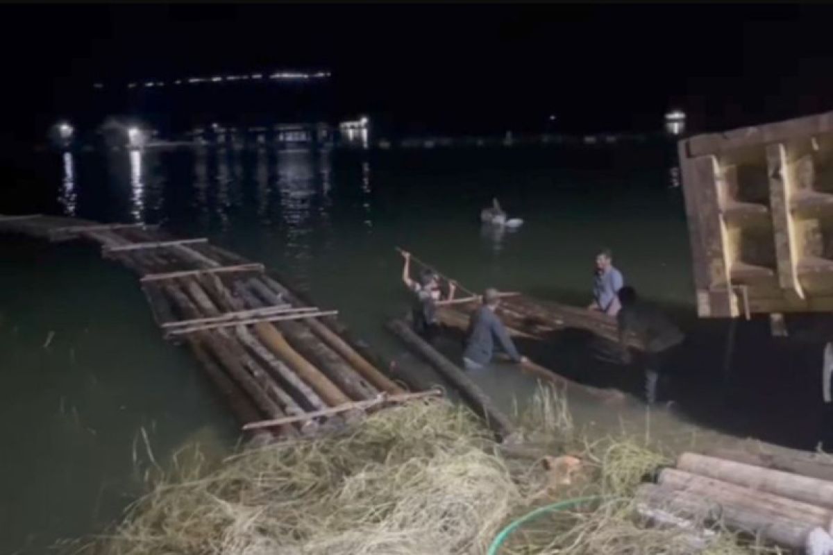 Polda Riau amankan 175 kayu balak bulatan ilegal di Sungai Gulamo Kampar