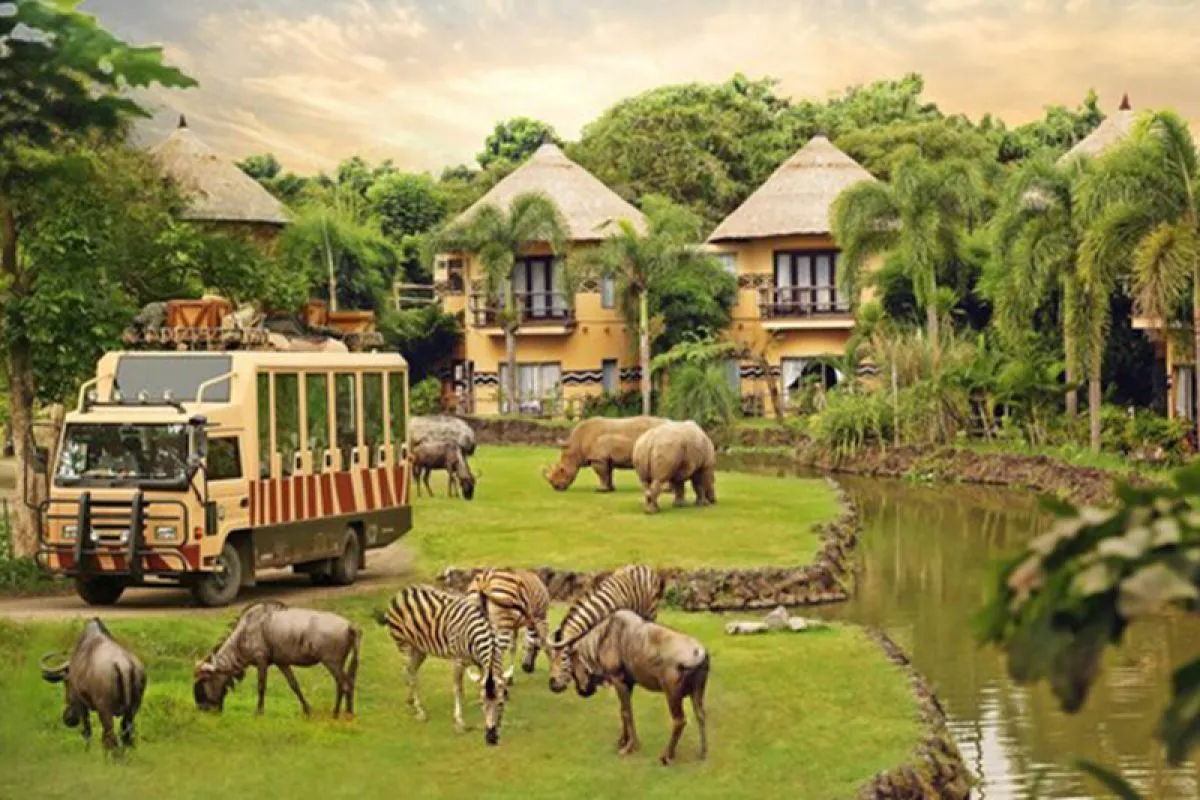 Taman safari Mengintip Keindahan Alam Liar Petualangan Seru di Taman Safari yang Mengagumkan