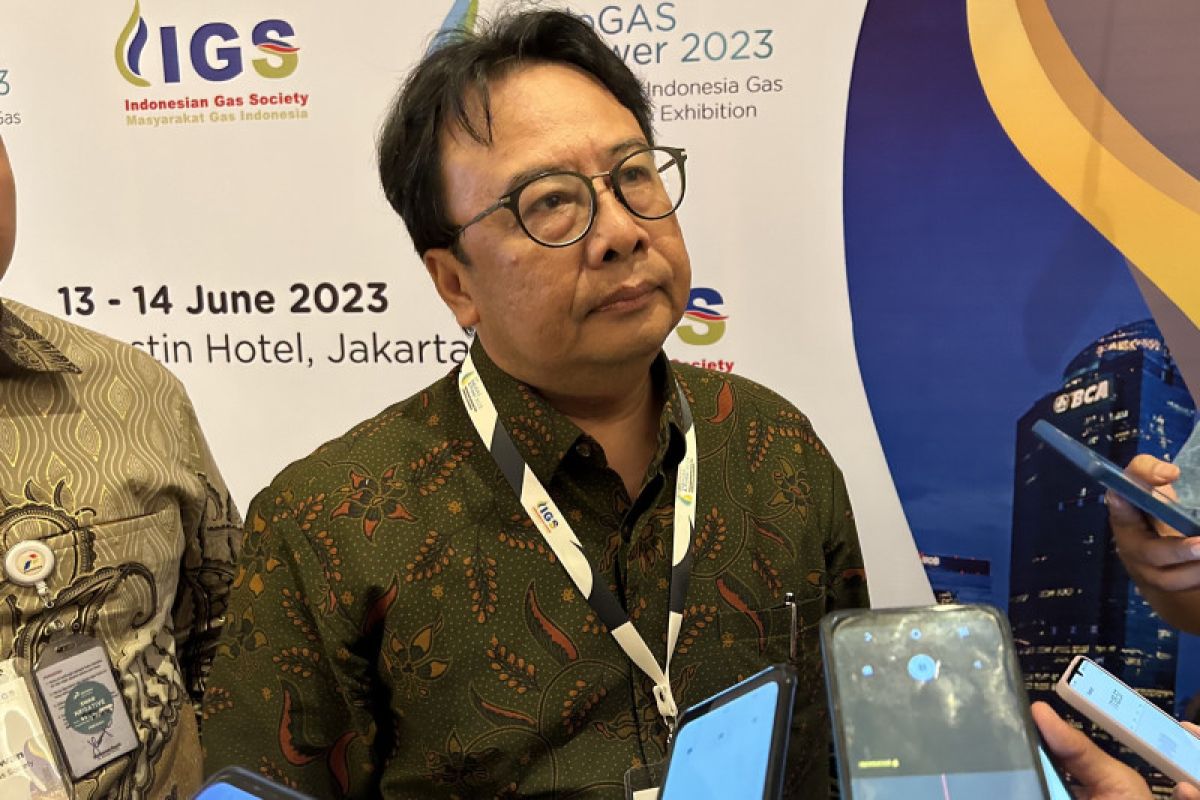 Indonesia Gas Society: Penyaluran gas bumi terhalang infrastruktur