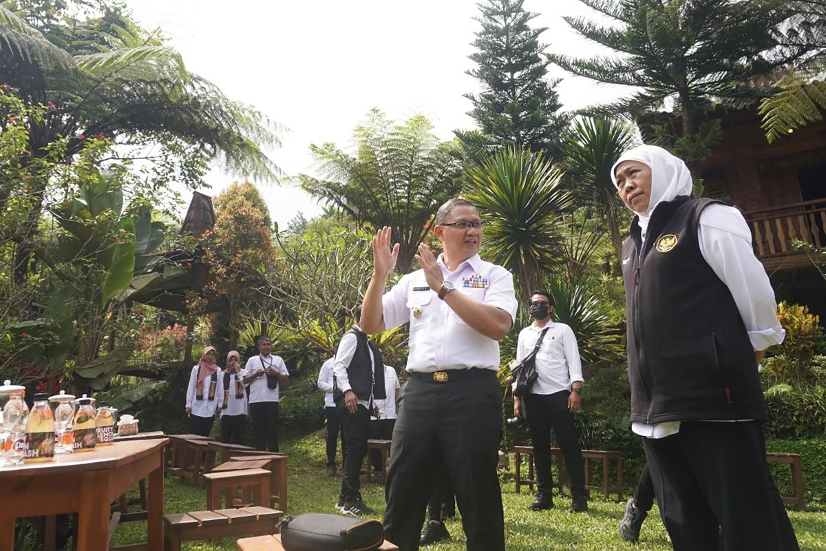 Gubernur Jatim resmikan kawasan agroforestri kopi Lereng Gunung Arjuno