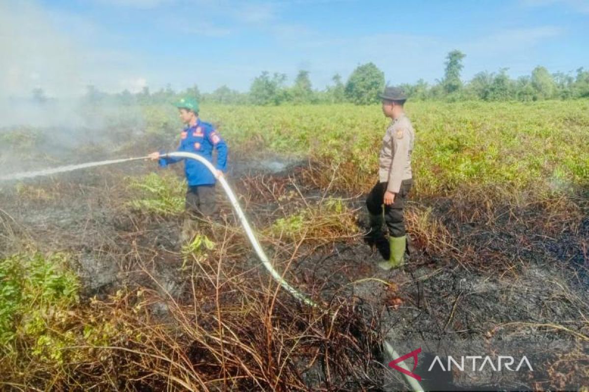 BPBD: 3 hektare lahan gambut di Nagan Raya Aceh terbakar