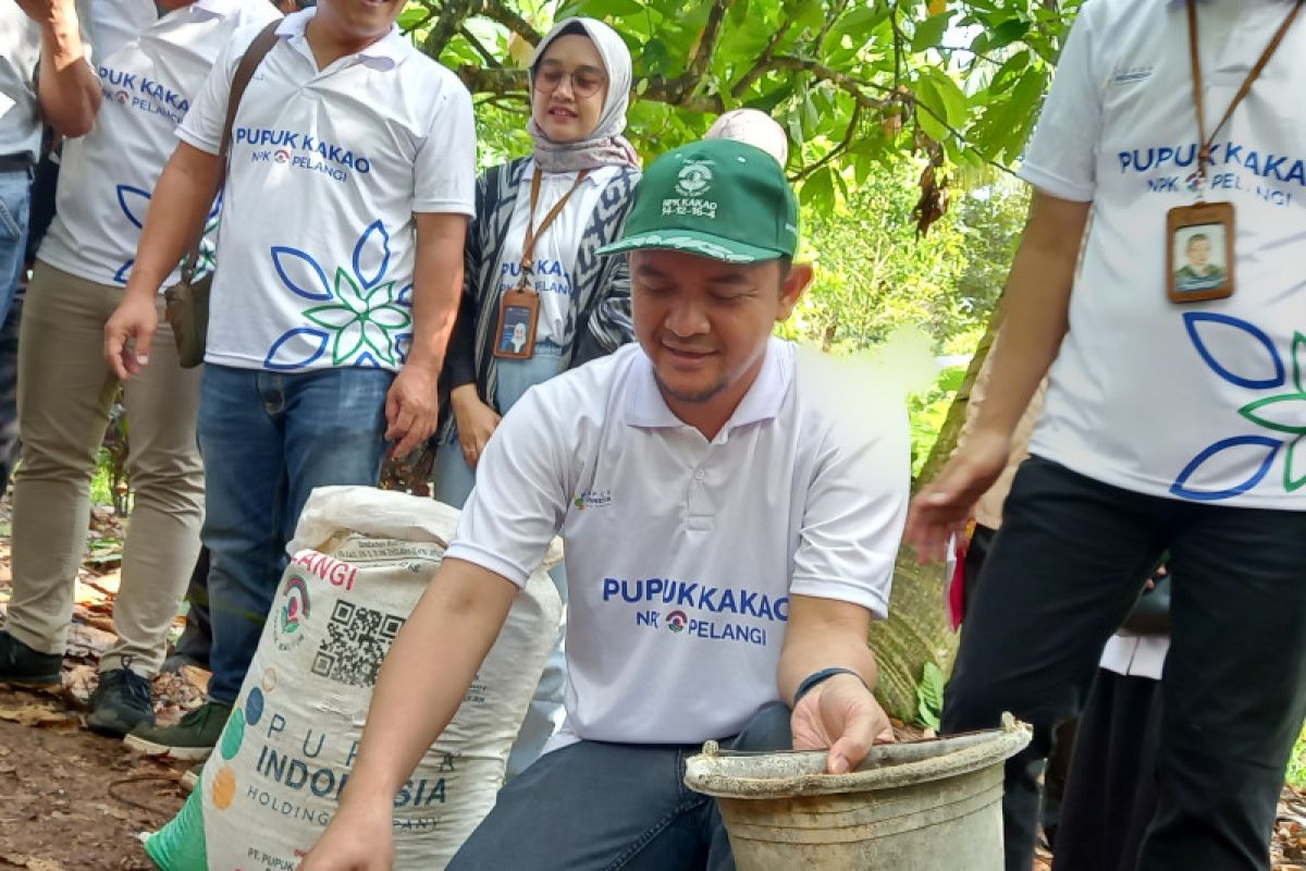 Pupuk Indonesia alokasikan 10.646 ton pupuk subsidi NPK kakao untuk Lampung