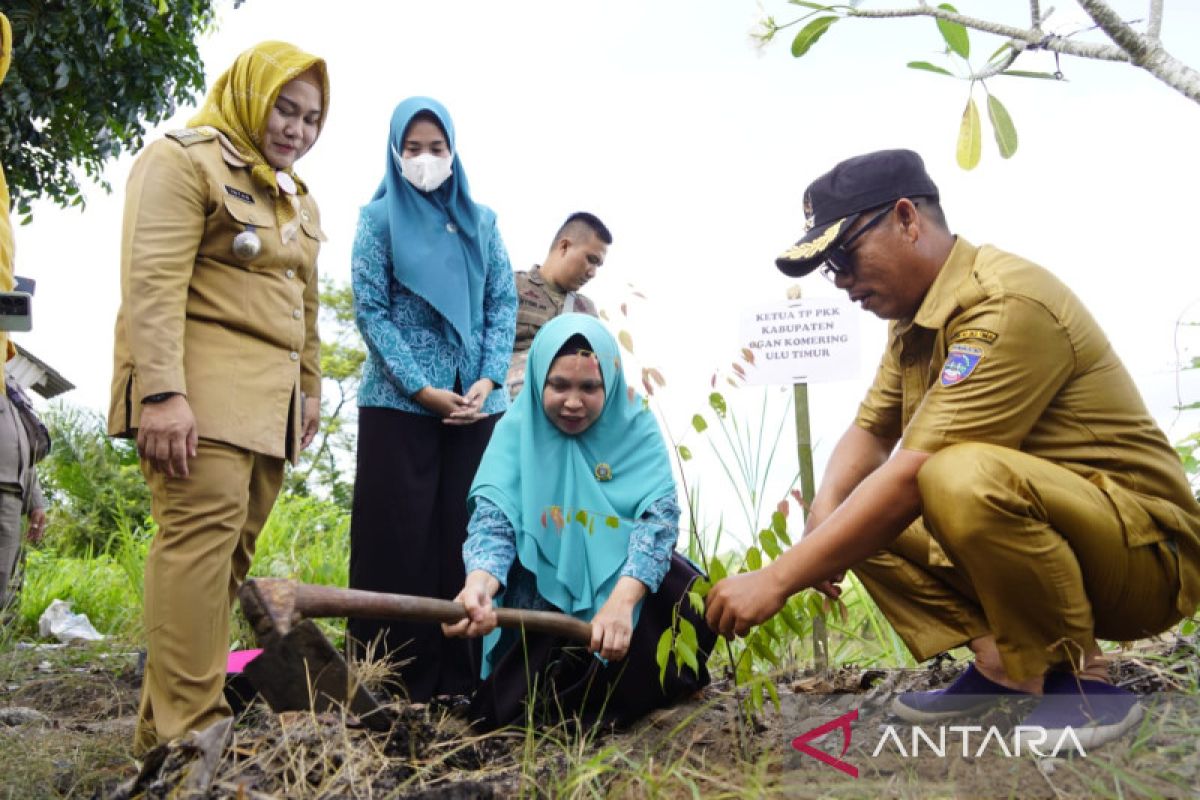 DLH OKU Timur tanam pohon di bantaran  Sungai Komering