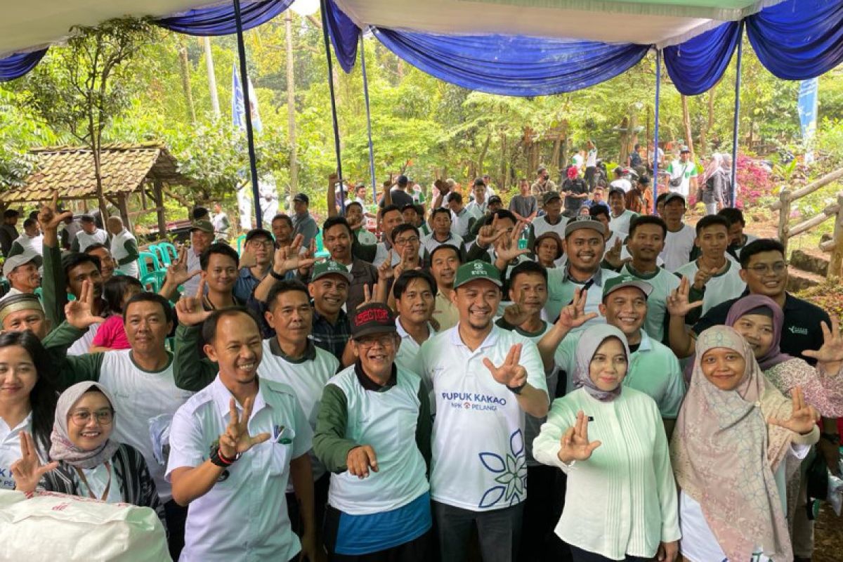 PI alokasikan 10.646 ton pupuk subsidi NPK kakao untuk Lampung