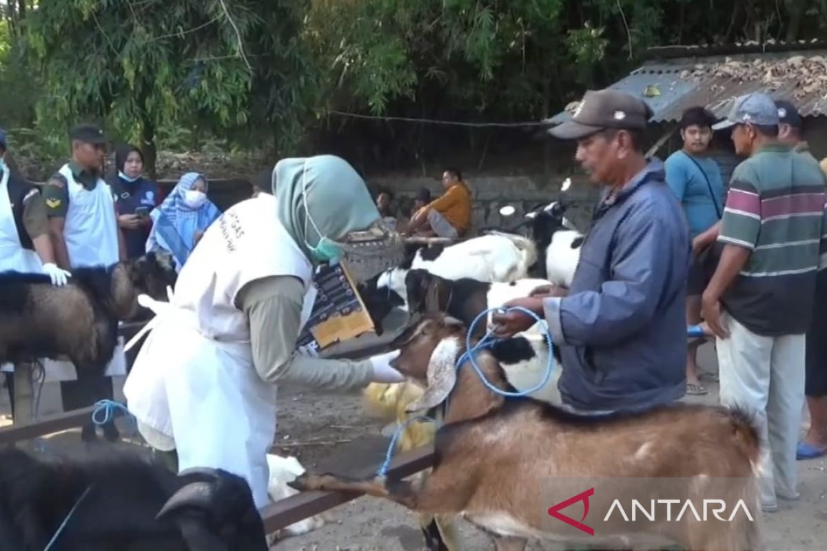 Jelang Idul Adha, Dinas Peternakan Ngawi periksa kesehatan hewan kurban
