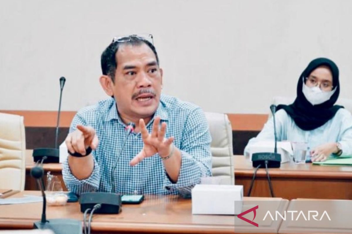 Asep Wahyuwijaya: Putusan MK cerminkan kemenangan rakyat Indonesia