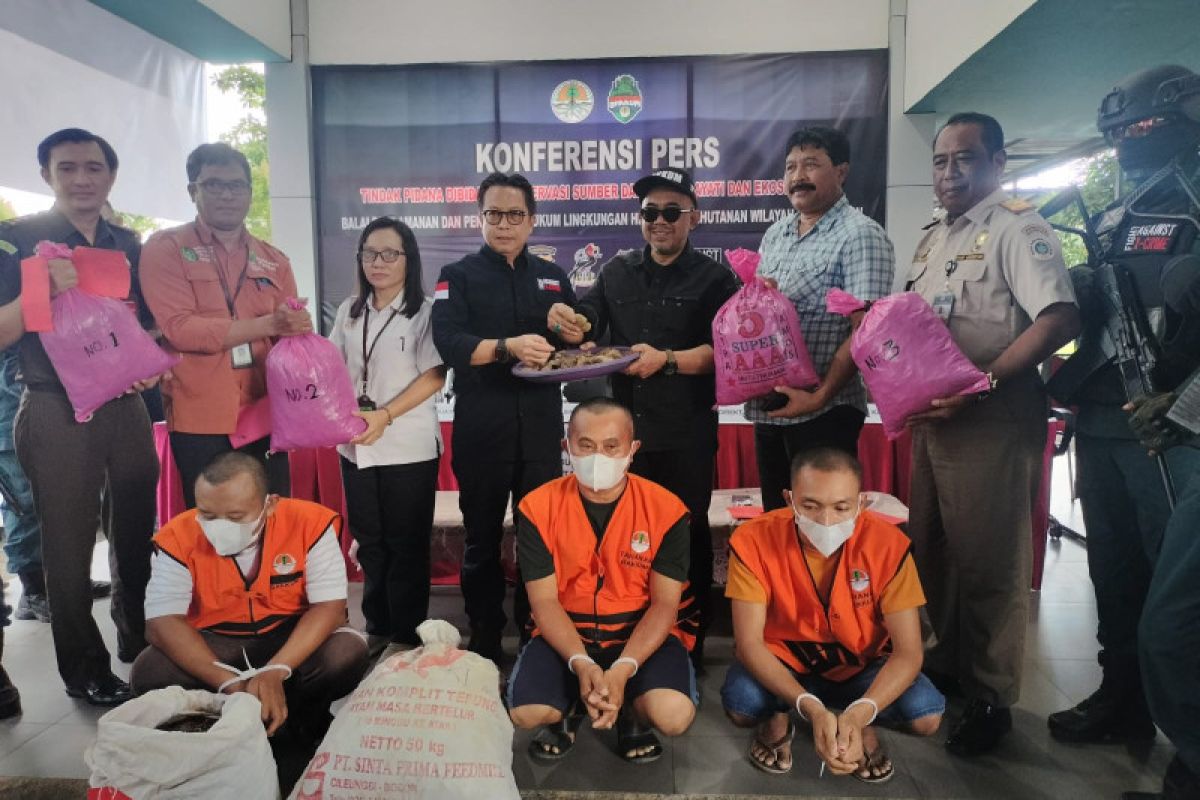 KLHK gagalkan peredaran sisik trenggiling seberat 57 kilogram