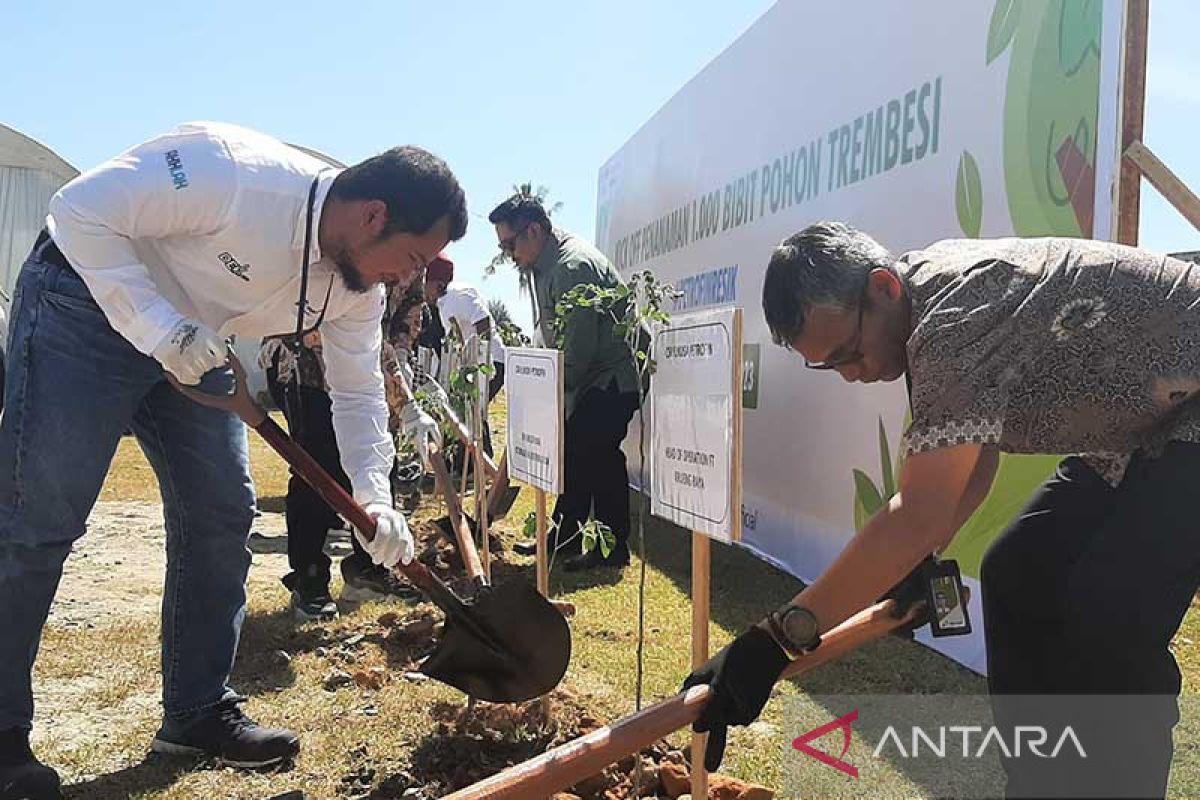 Elnusa Petrofin tanam 1.000 pohon dukung program langit biru di Aceh