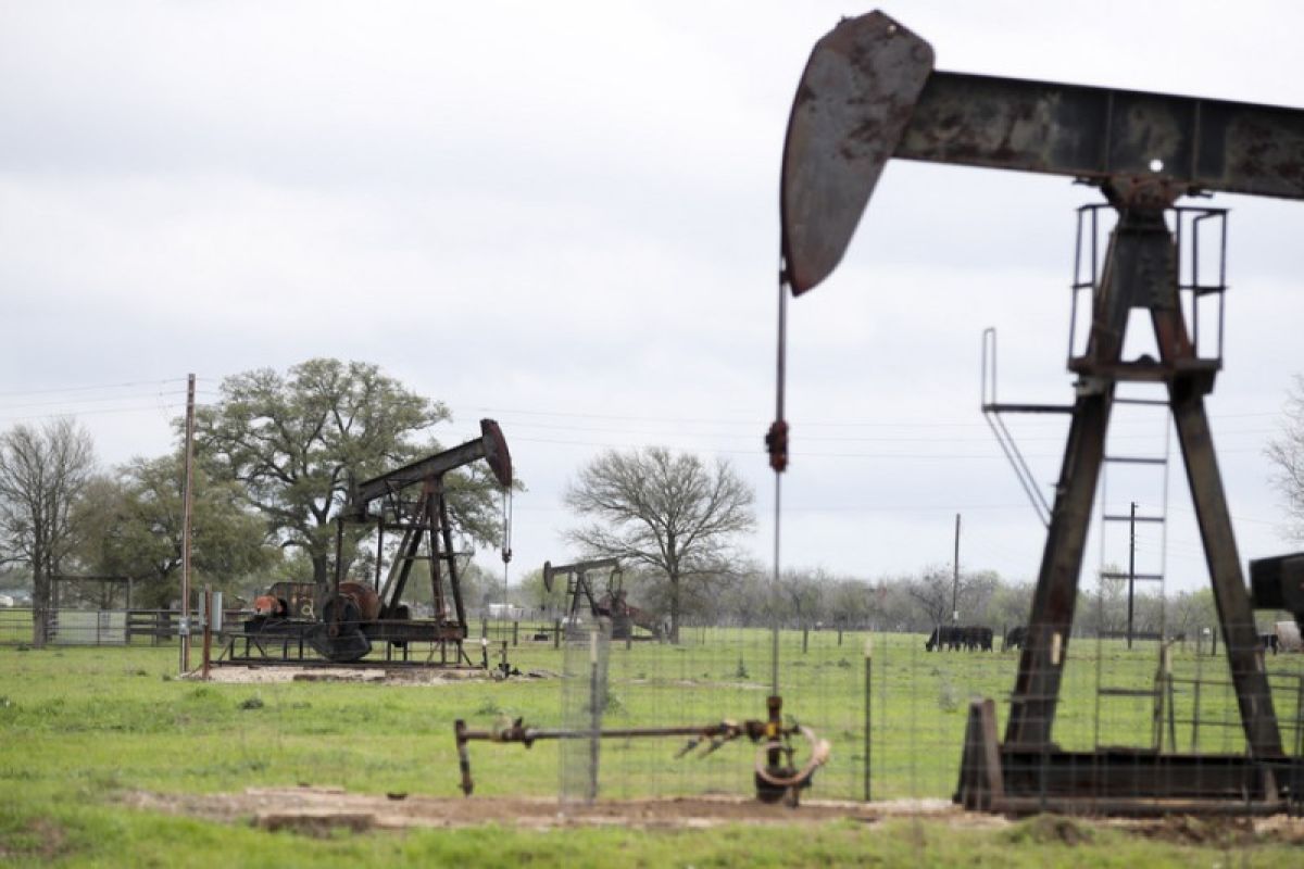 Pasokan minyak mentah AS berkurang, data minyak bumi lainnya beragam