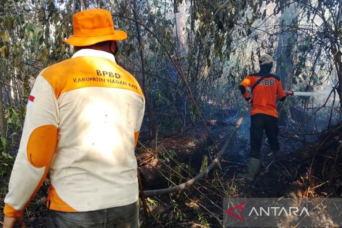 Kebakaran lahan di Nagan Raya Aceh mencapai 13 hektare