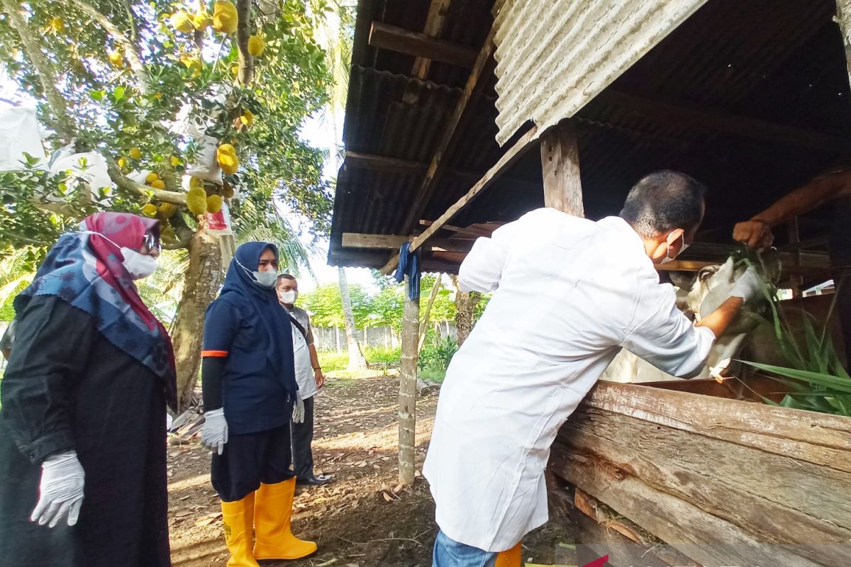 Persediaan hewan qurban di Aceh Utara capai 17.263 ekor