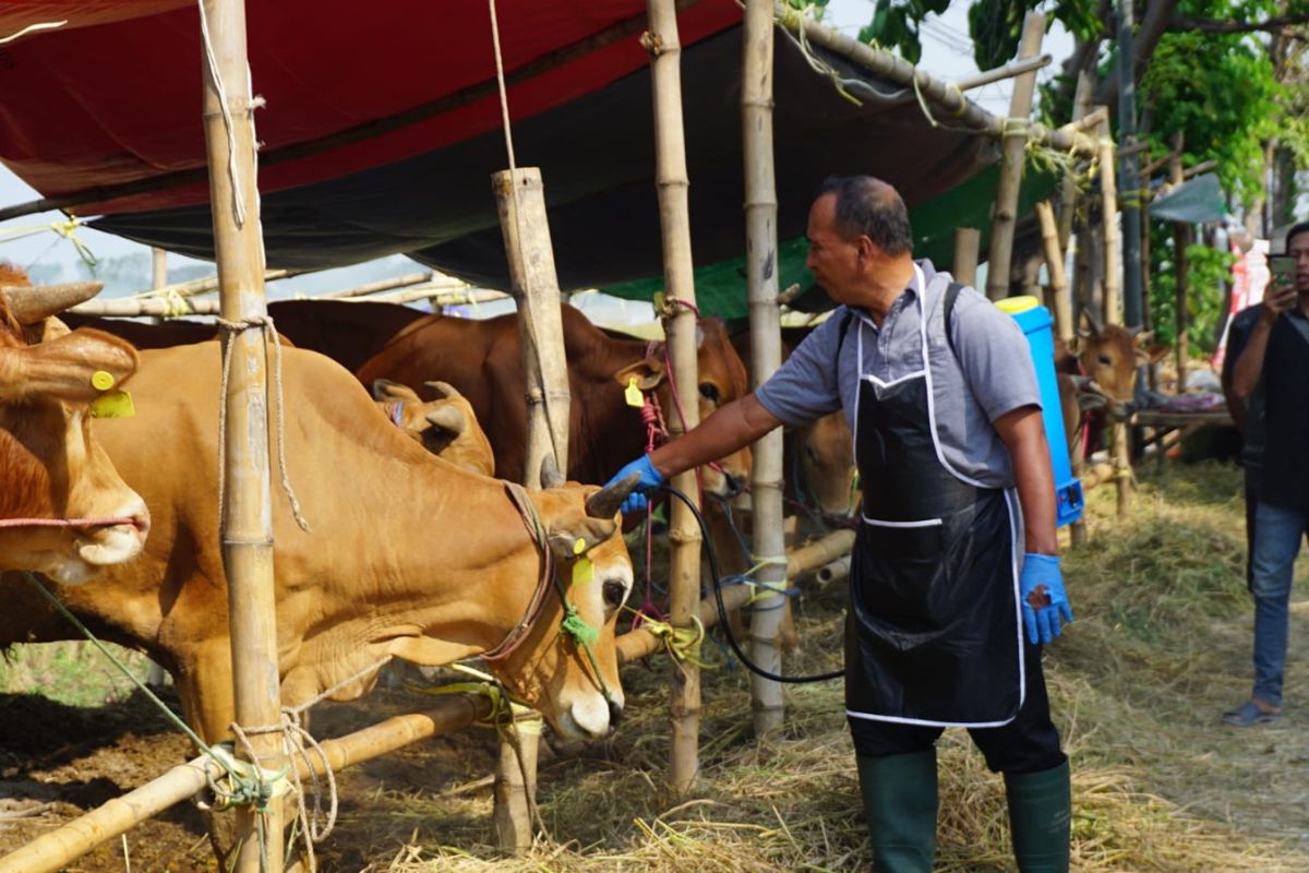 Pemkab perketat lalu lintas hewan kurban masuk ke Sidoarjo