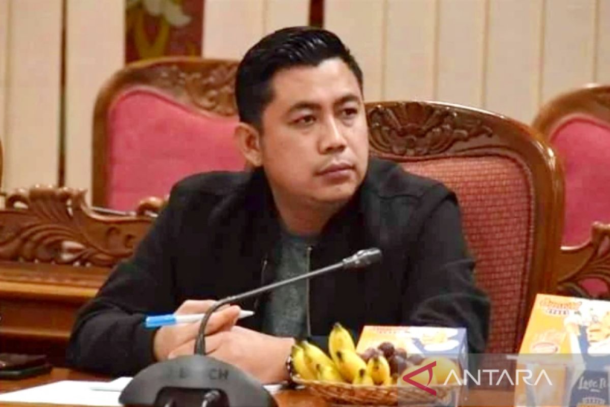 DPRD Kotim: Masyarakat menunggu solusi mengatasi mahalnya tiket pesawat