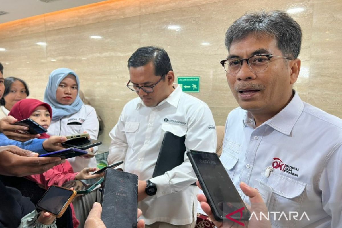 OJK Sulawesi Tenggara sebut belum terima aduan penggunaan QRIS