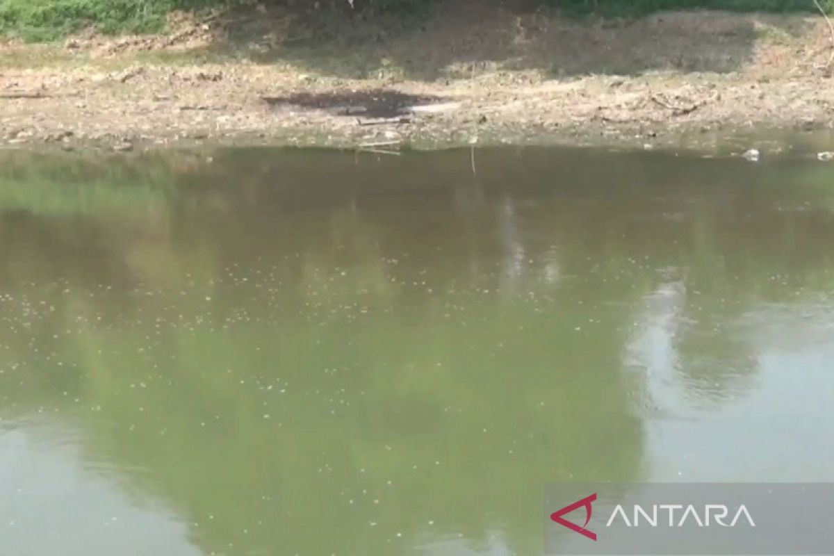 Dampak limbah di Bengawan Solo, PDAM Surakarta sempat hentikan produksi