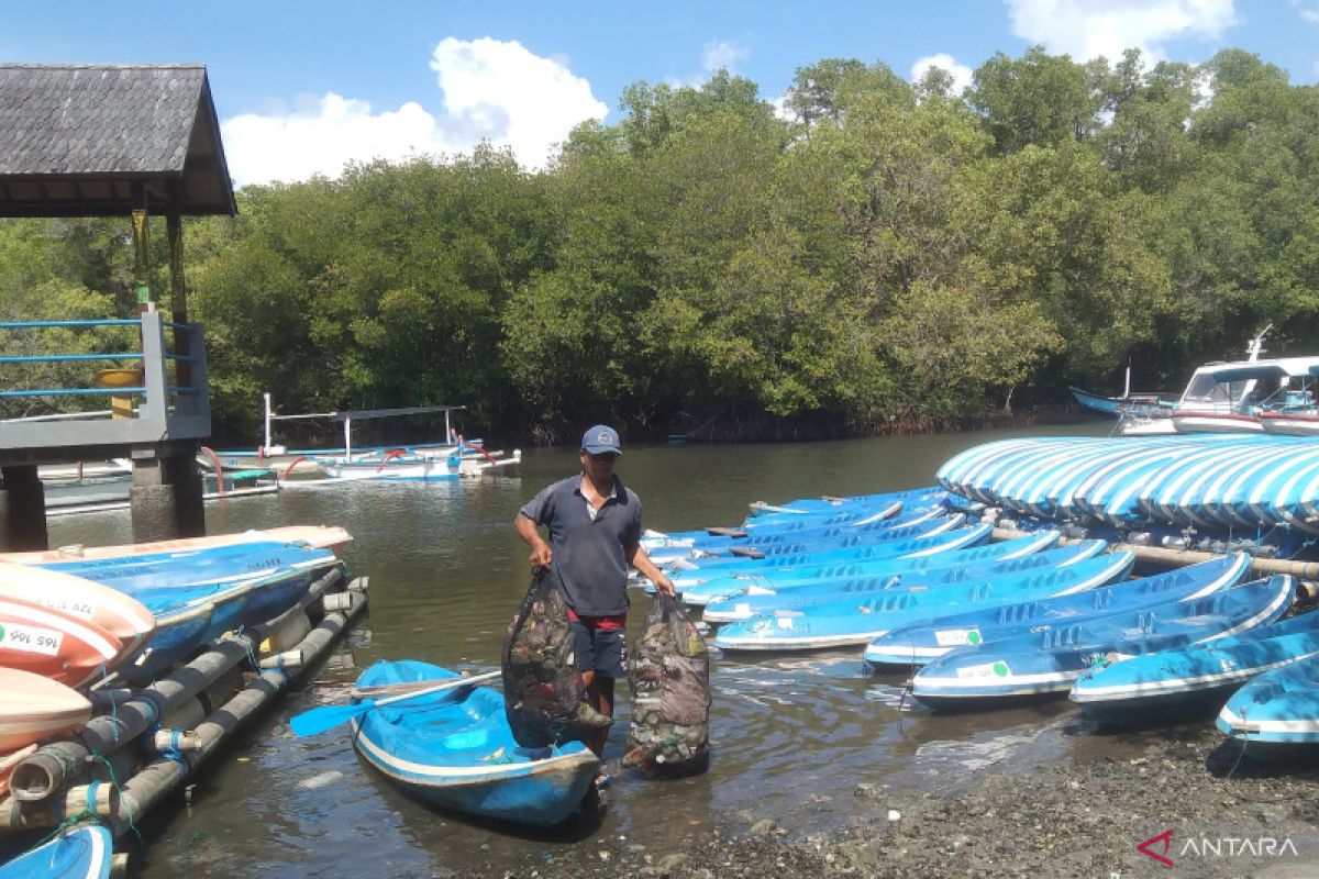 Memungut sampah plastik di hutan mangrove Bali