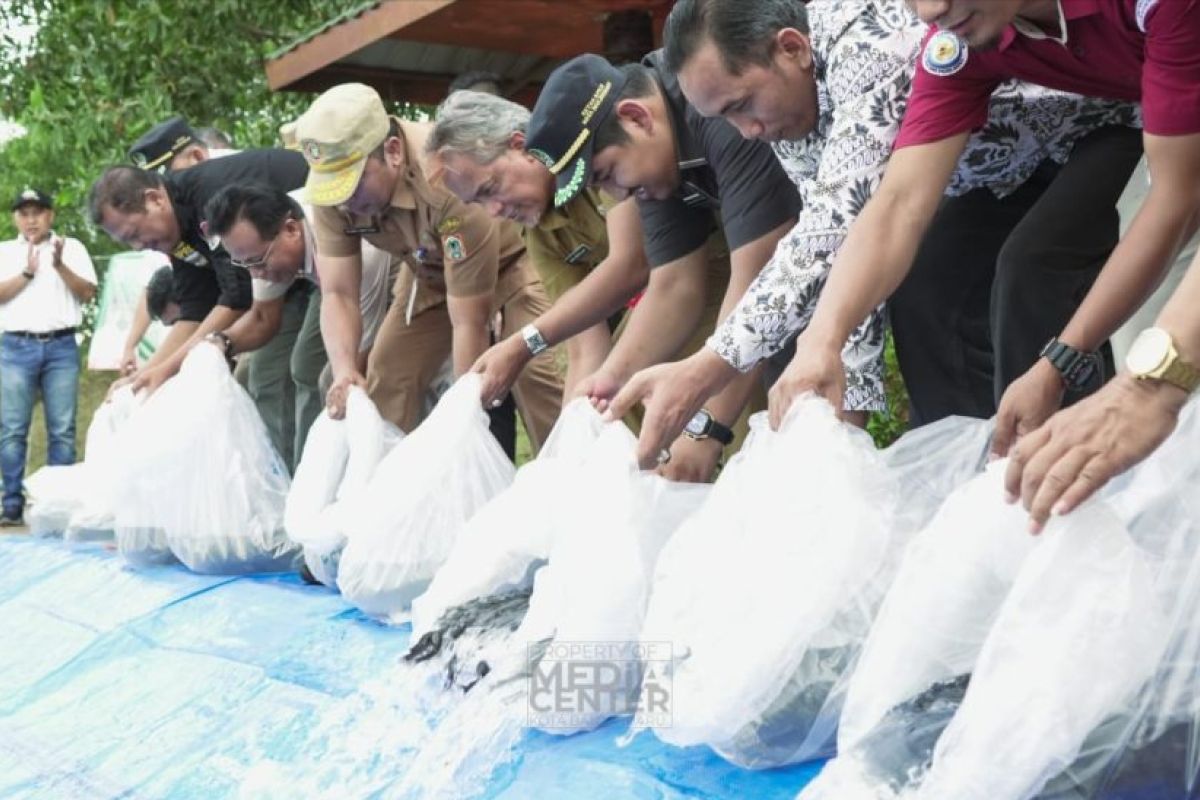 Ketua DPRD Banjarbaru dorong pelestarian ikan lokal