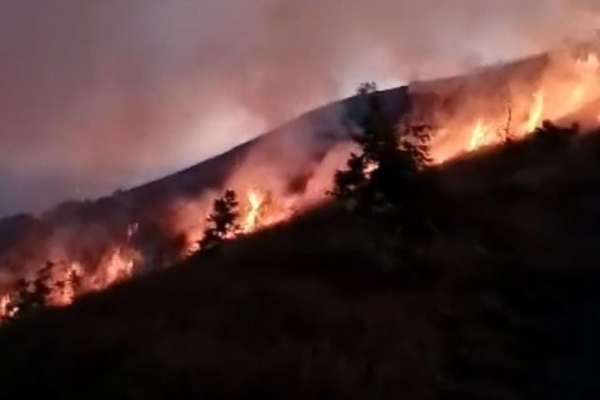 Kebakaran hutan landa kawasan Bukit Sempana Sembalun