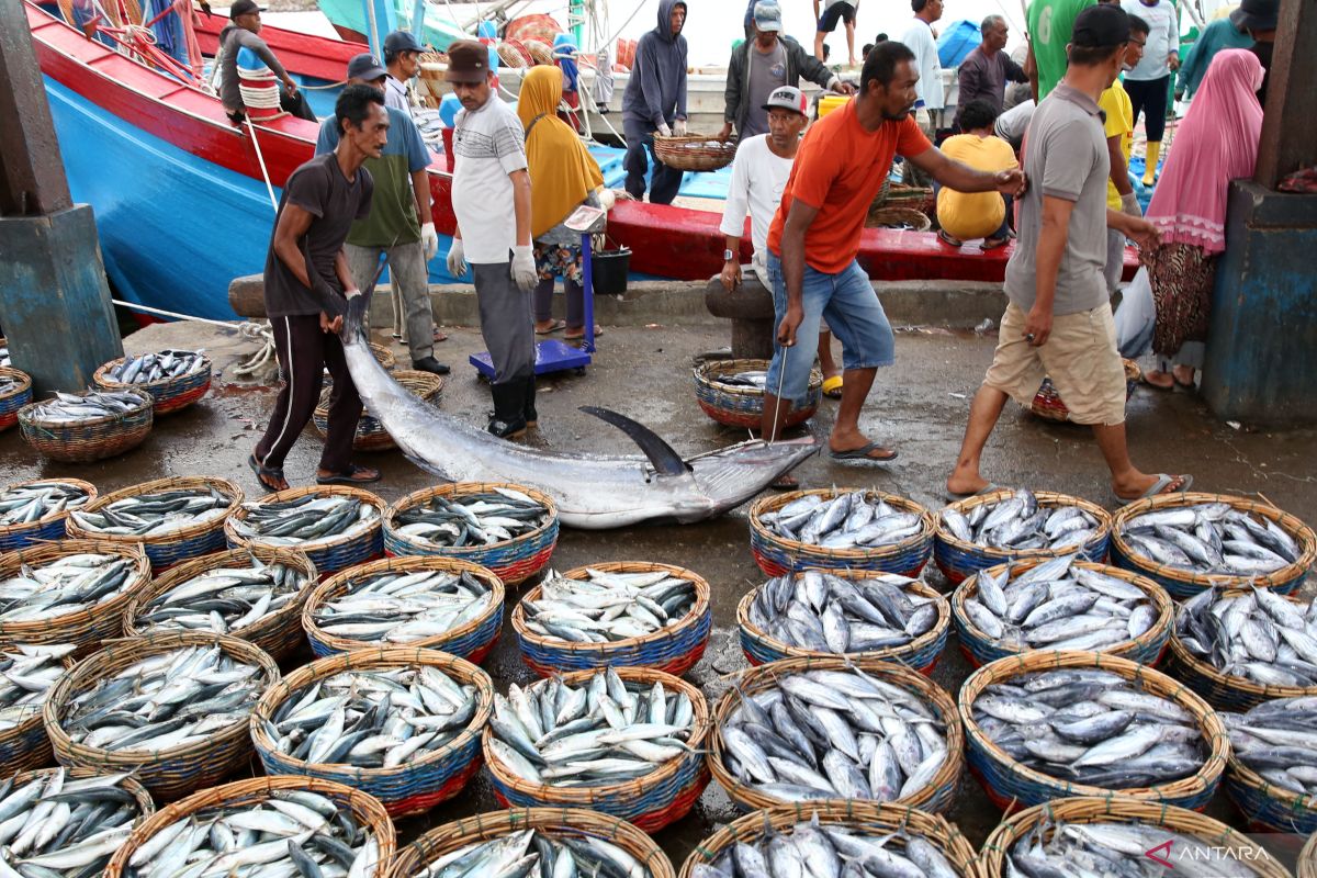 BKIPM catat 199 ton hasil perikanan Aceh sudah diekspor selama 2023