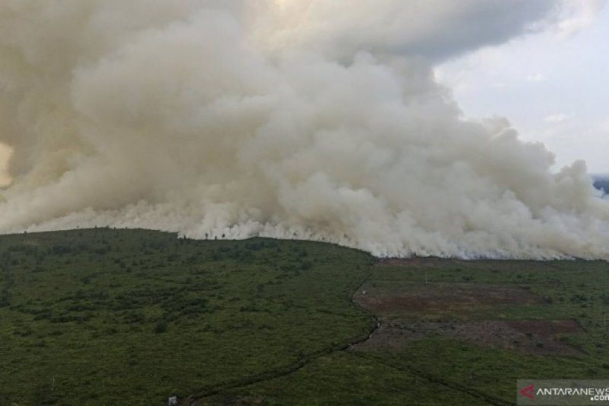 Empat kabupaten di Riau dilanda kebakaran hutan