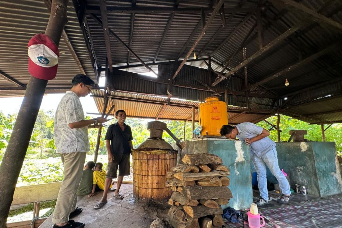PLN Maluku salurkan bantuan TJSL tingkatkan usaha minyak kayu putih