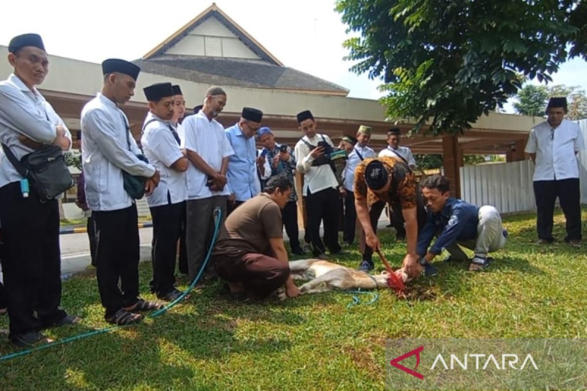 MUI Kota Madiun latih cara sembelih hewan kurban yang halal