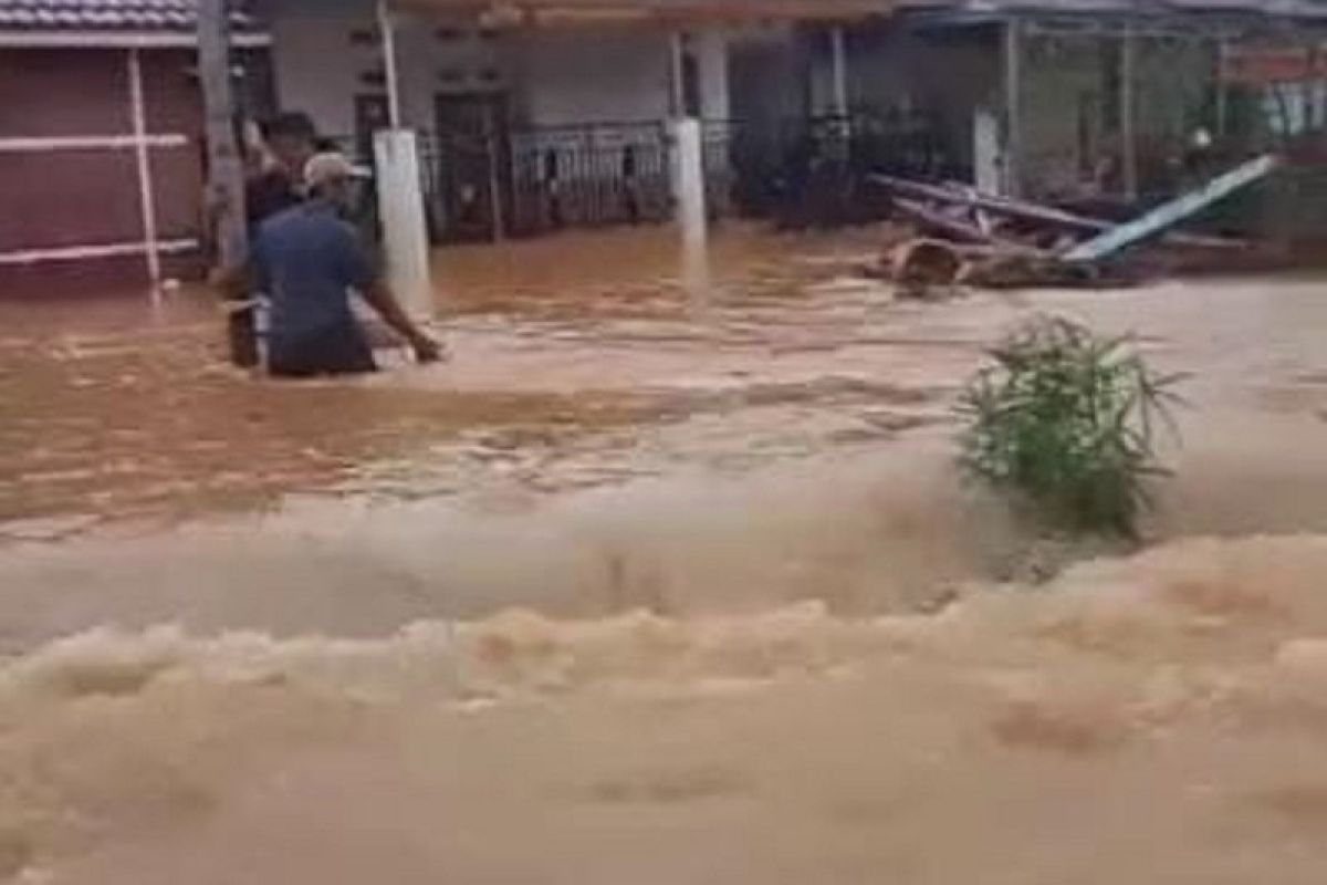 Rumah warga Kota Jambi terendam banjir akibat curah hujan tinggi