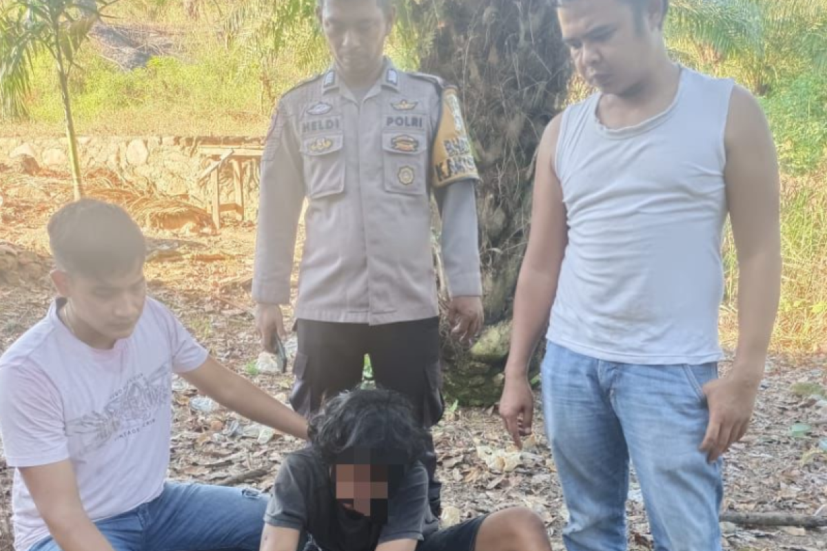 Polisi di Pasaman Barat tangkap dua orang bandar sabu di tempat berbeda