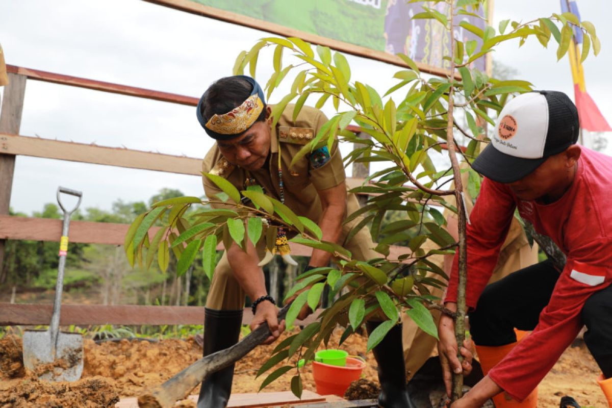 Gubernur Kaltara mengapresiasi BMF majukan pertanian dan peternakan