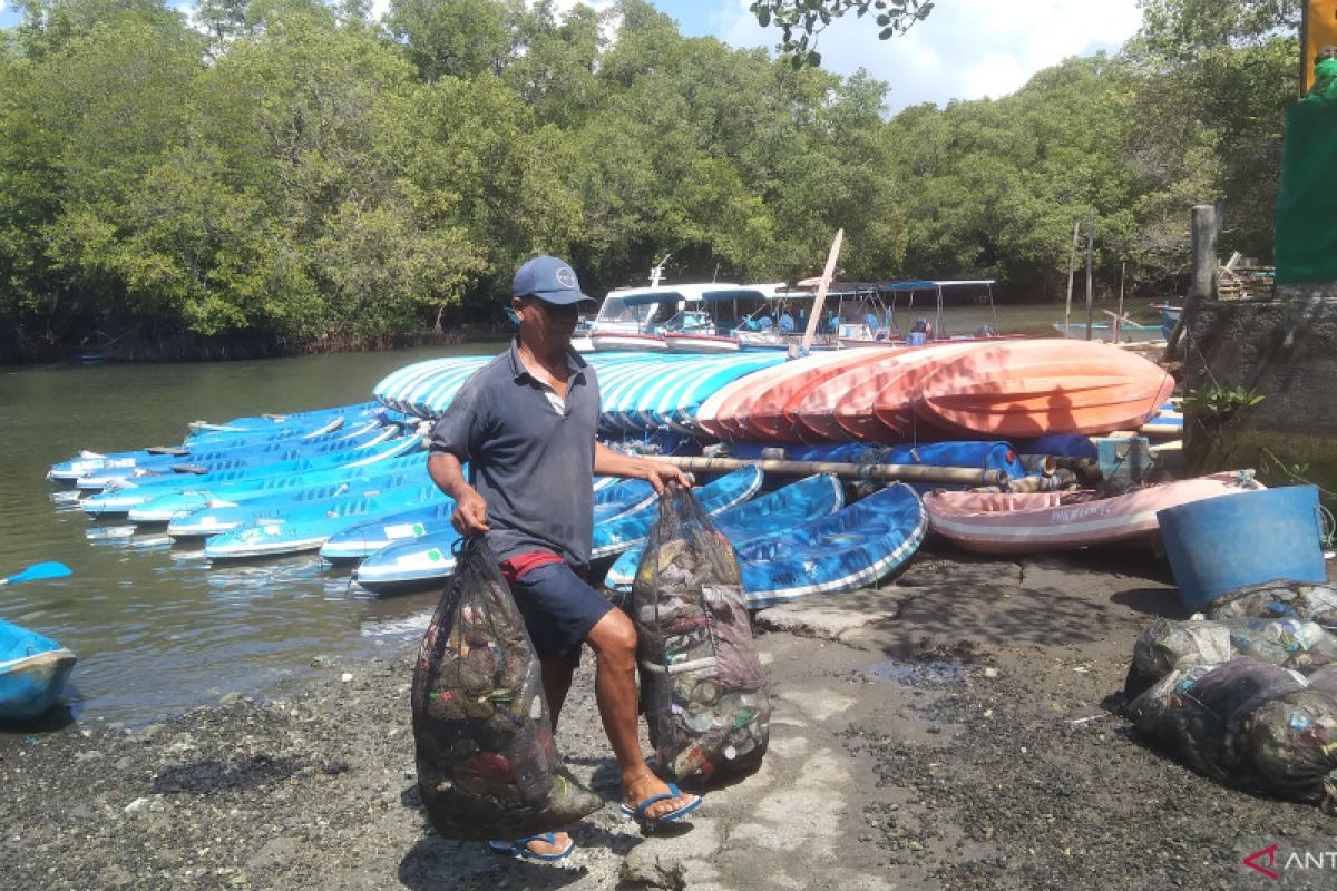 Sampah plastik yang di kumpulkan nelayan dari mangrove Bali bisa capai tiga ton per minggu