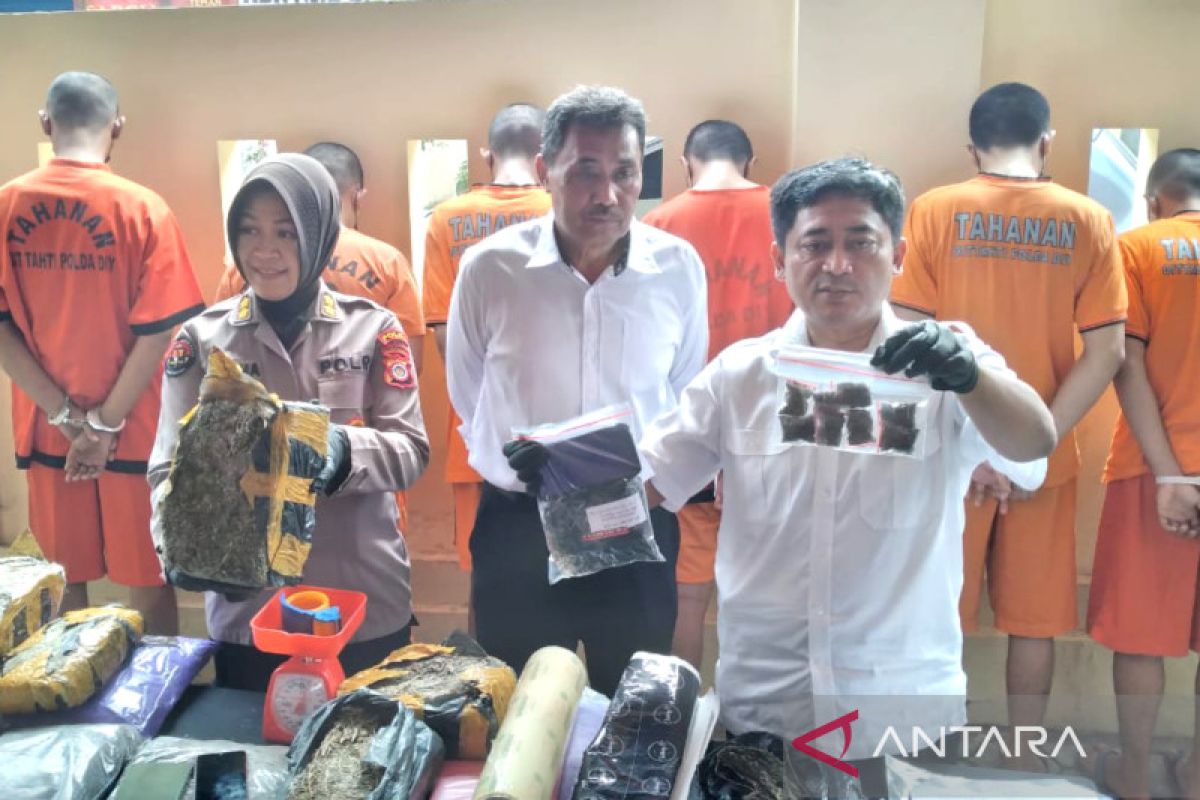 Polda DIY membongkar dua jaringan pengedar ganja Yogyakarta-Medan