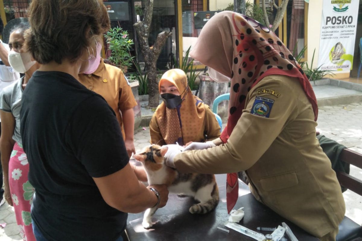 Distan Mataram siap vaksinasi 1.500 ekor anjing antisipasi rabies