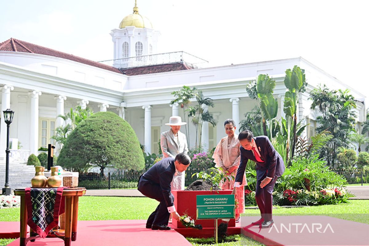 Politik kemarin, kunjungan Kaisar Naruhito hingga mimpi SBY