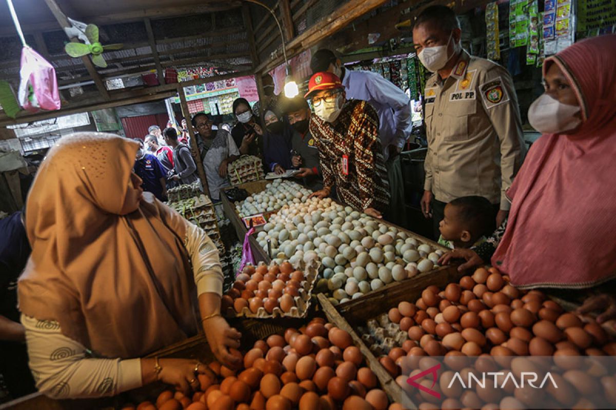 Pasca Idul Adha harga pangan strategis di Kalteng stabil