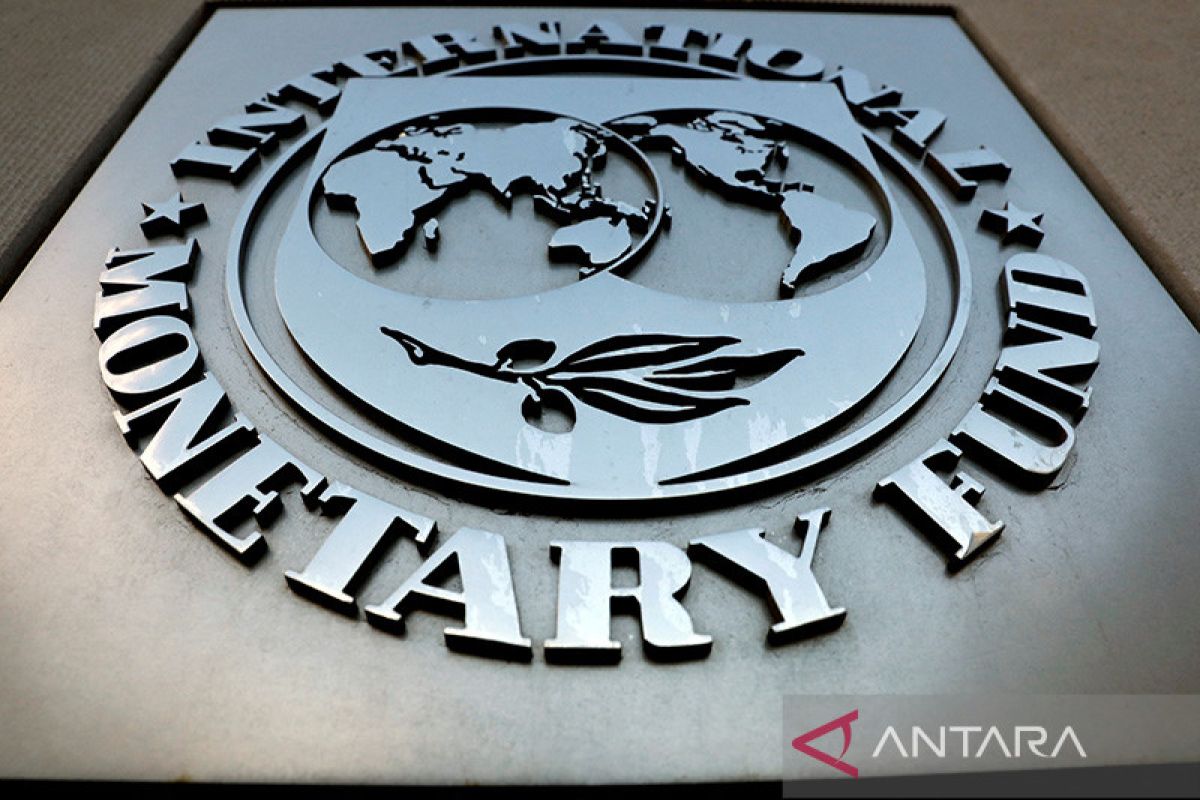 IMF sebut kebijakan RI bantu hadapi tantangan global