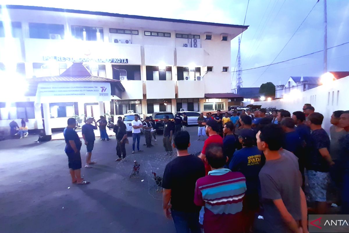 Polisi tetapkan 11 orang jadi tersangka kasus judi sabung ayam di Kota Gorontalo
