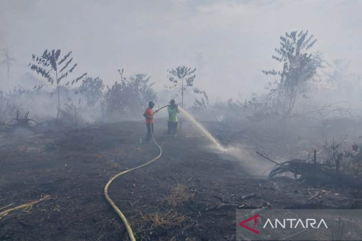 Limited water constrains fight against forest fires in Aceh: BPBD