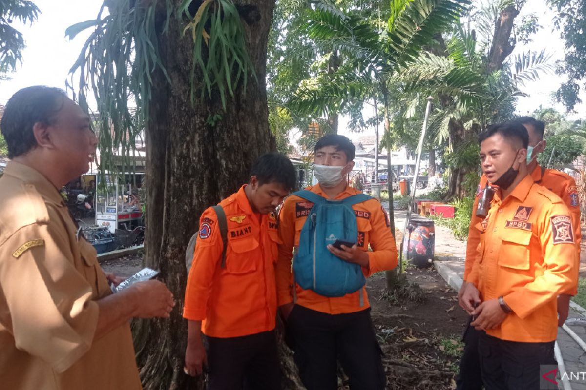 Dua anak di Surabaya alami luka akibat diserang seekor monyet