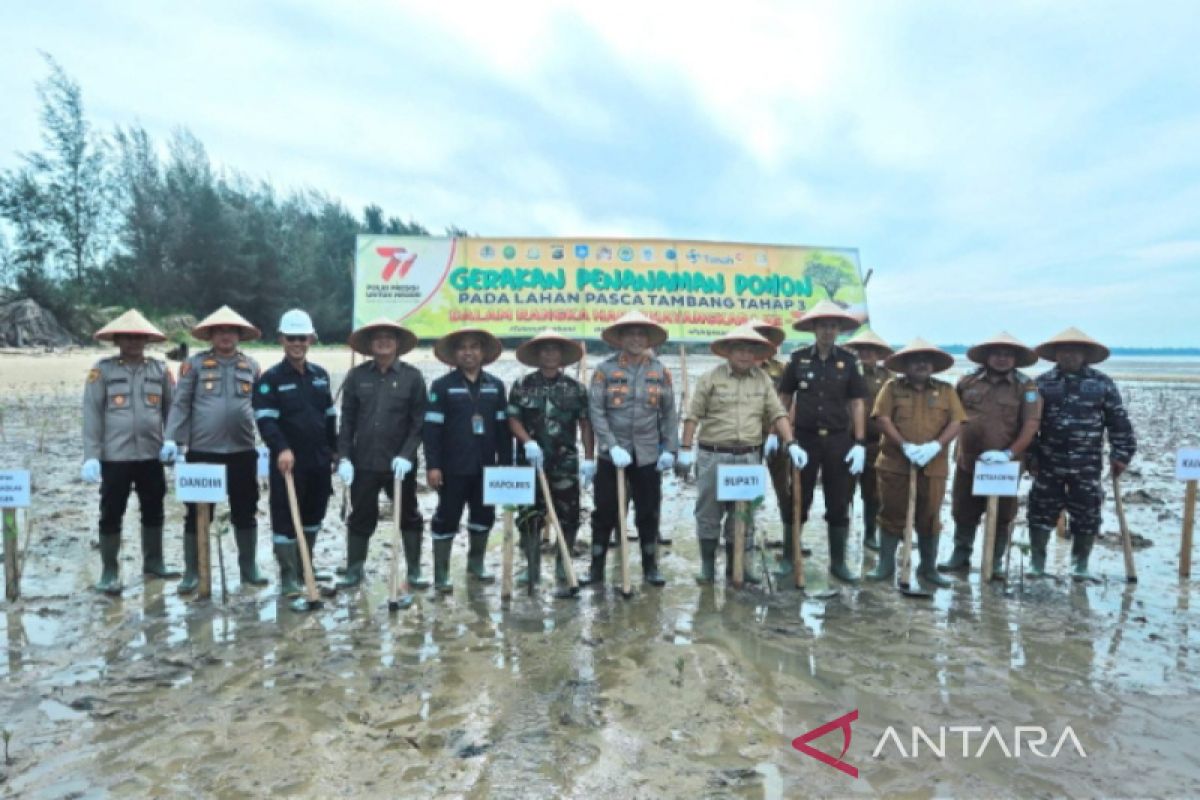 Polres Bangka Barat tanam 4.000 bibit mangrove di lahan bekas tambang