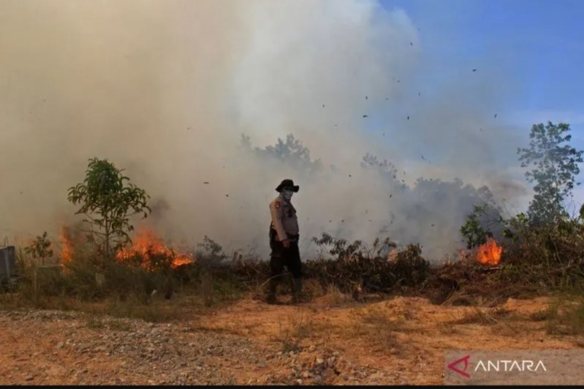 Gawat, hutan dan lahan yang terbakar di Riau lebih 818 hektare