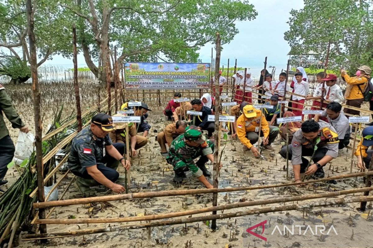 DLH Kotabaru tanam ribuan mangrove di Desa Tanjung Pangga