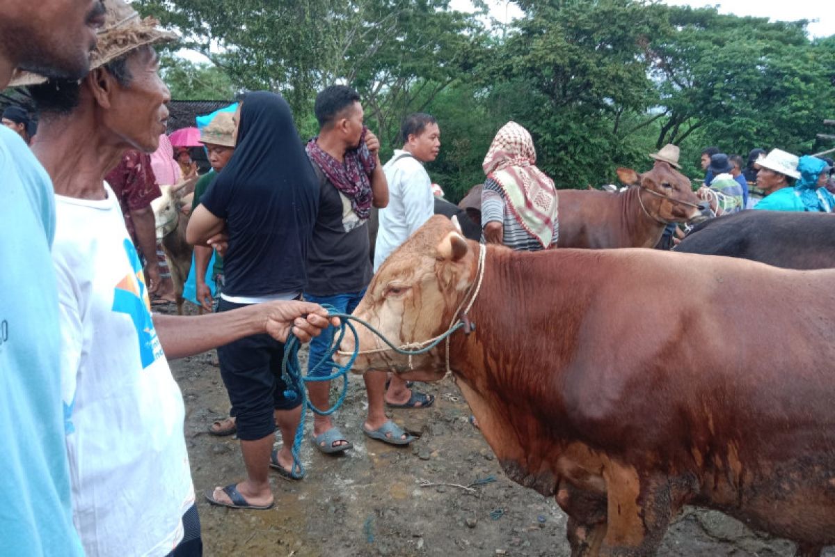 Distan Mataram punya stok 1.000 dosis vaksin PMK persiapan Idul Adha