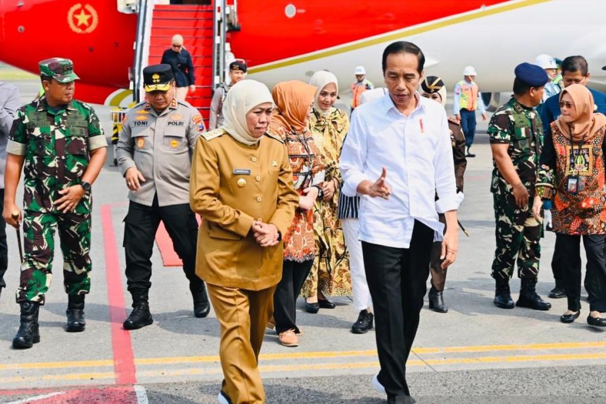 Presiden Jokowi akan meninjau smelter Freeport dan pabrik foil tembaga di Gresik