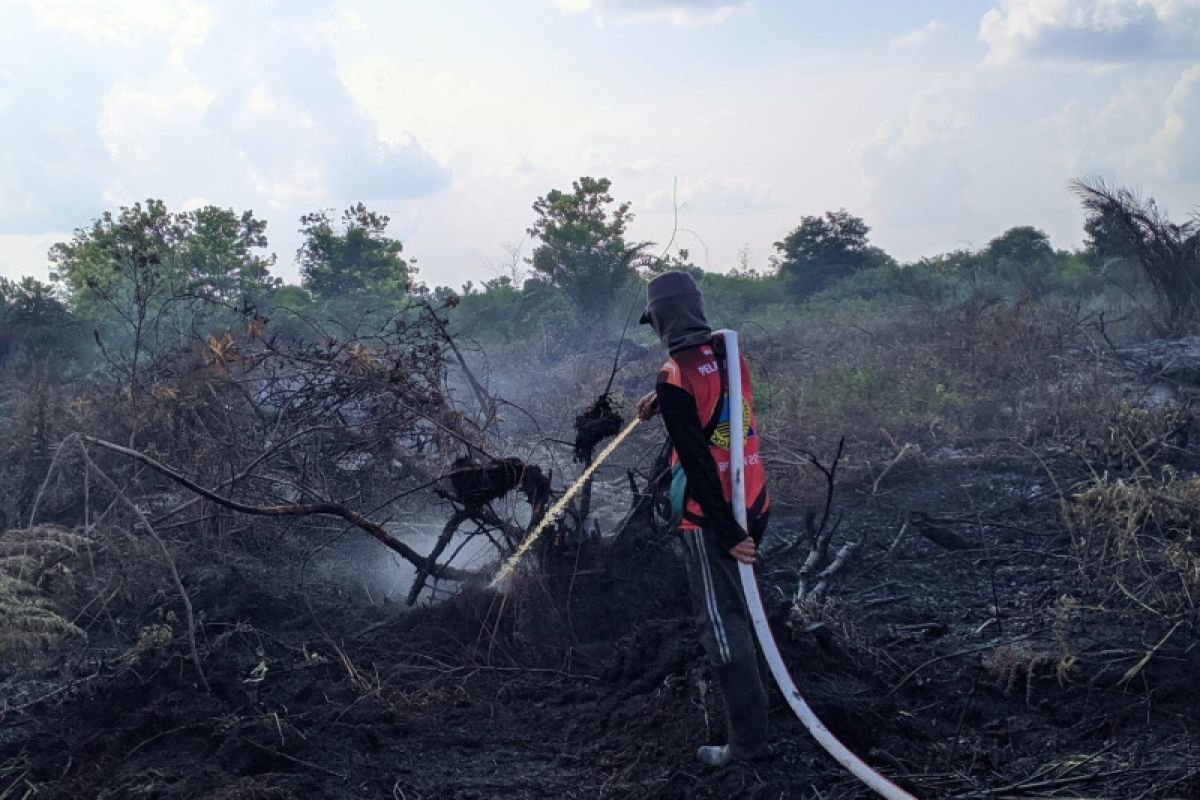 Palangka Raya BPBD stamps out fires on 23.47 hectares peatland