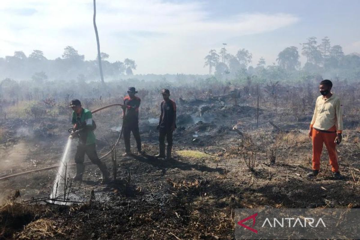 Luas lahan terbakar di Nagan Raya bertambah jadi 18,5 Hektare