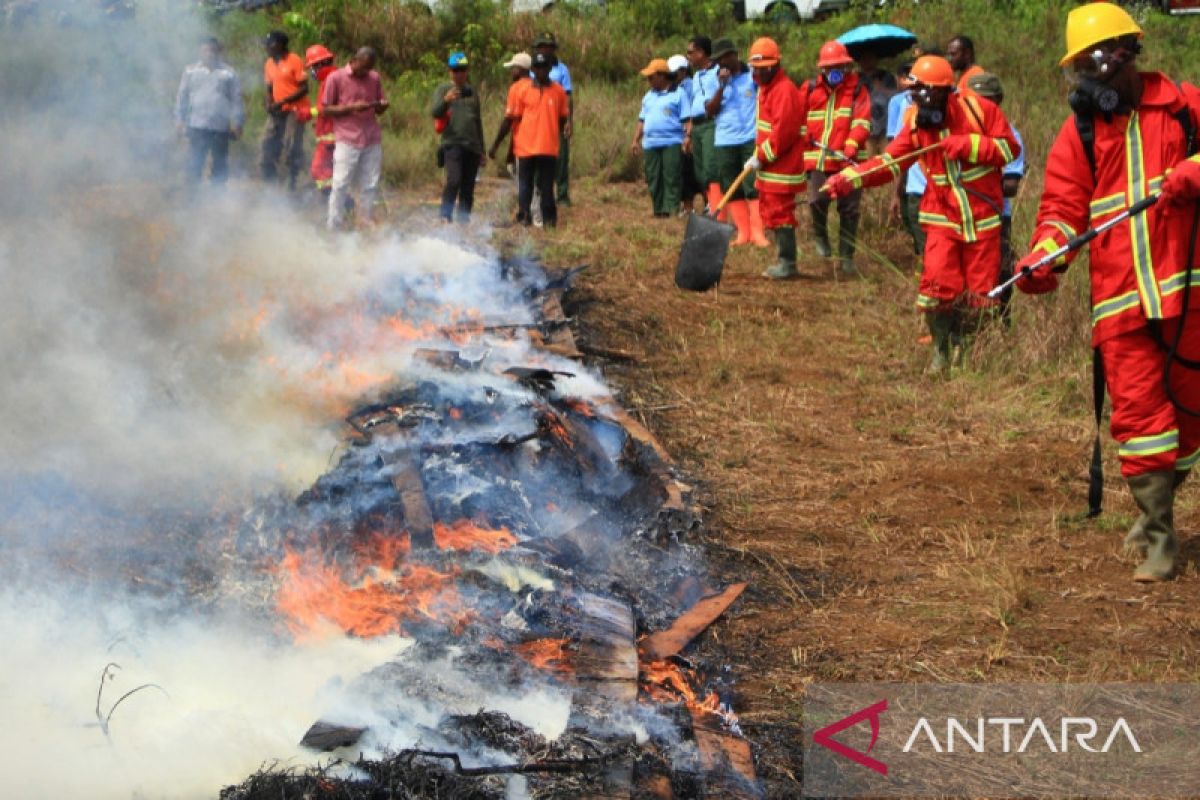 DLHK Papua-PT Freeport simulasi penanggulangan bencana kebakaran hutan
