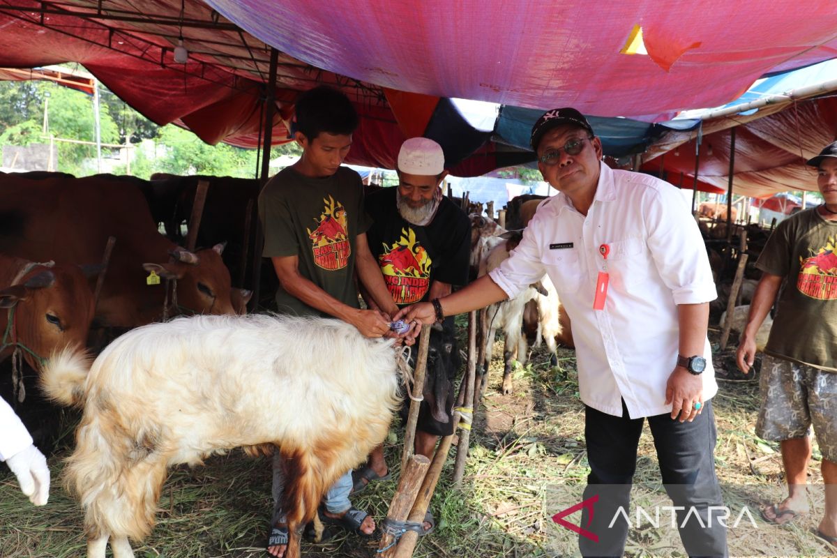 DPKP Kabupaten  Tangerang pastikan daging hewan kurban aman dikonsumsi