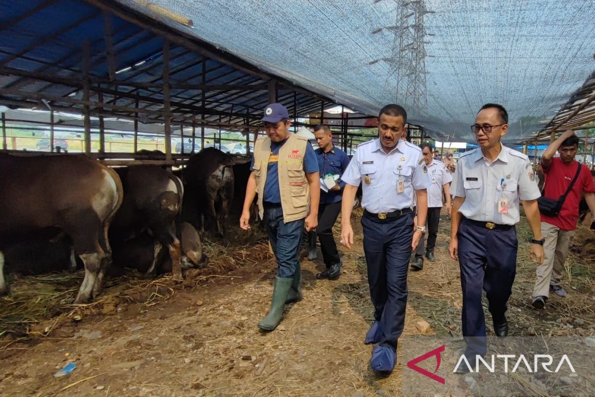 Wali Kota Jaktim sidak pedagang sapi kurban pastikan aman dikonsumsi